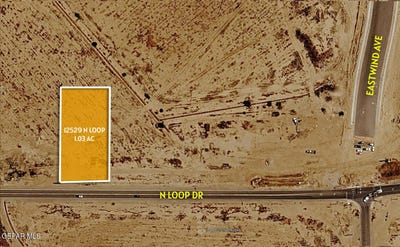 /international/us/12529-north-loop-drive-clint-tx-110110274379/