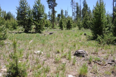/international/us/50-lazy-lane-grand-lake-co-110095551924/