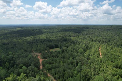 /international/us/0-county-road-518-roanoke-al-110101290560/