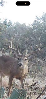 /international/us/1512-persimmon-road-lot-35-eldorado-tx-110104816910/