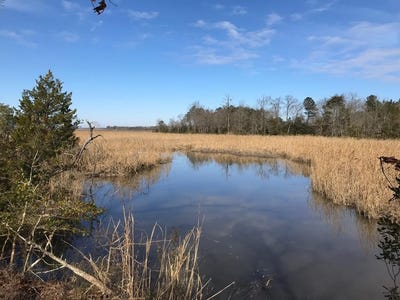 /international/us/goose-creek-rd-lot-14-shacklefords-va-110104440795/