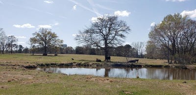 /international/us/716-augusta-road-edgefield-sc-110107931042/