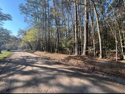 /international/us/willtown-road-adams-run-sc-110100718947/