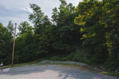 /international/us/lot-655-chimney-rock-road-new-tazewell-tn-110095569740/