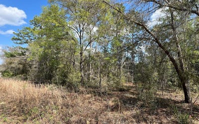/international/us/000-ne-154th-avenue-williston-fl-110104555230/