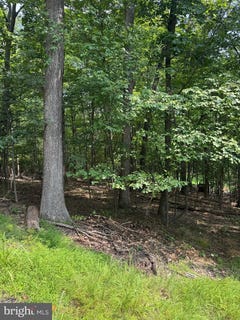 /international/us/1832-ridge-road-haymarket-va-110101537435/?lang=it