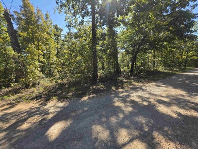 /international/us/l-1-b-11-eagle-pass-ozark-acres-ar-110120528149/