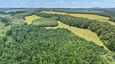 /international/us/ar-254-highway-leslie-ar-110100512566/