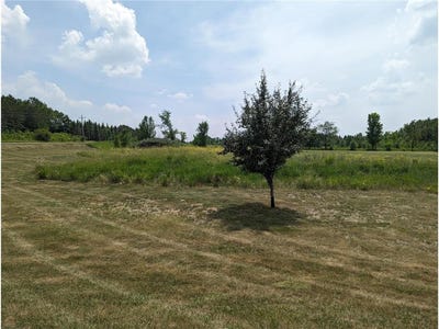 /international/us/lot-8-geneva-golf-club-drive-ne-alexandria-mn-110104200846/