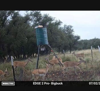/international/us/129-big-buck-run-road-menard-tx-110097090448/?lang=zh-tw
