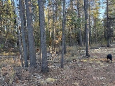 /international/us/keyser-circle-chiloquin-or-110120893134/
