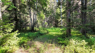 /international/us/238-rustic-rd-cusick-wa-110101144686/?lang=en