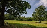 /international/us/29412-s-state-route-d-hw-street-cleveland-mo-110120498914/
