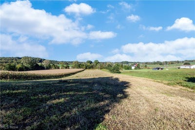 /international/us/alabama-avenue-sw-navarre-oh-110120412434/