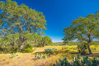 /international/us/391-henry-p-schmidt-rd-fredericksburg-tx-110099979422/