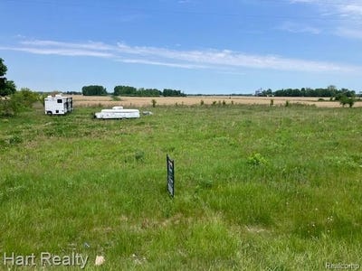 /international/us/6954-sanilac-road-lamotte-twp-mi-110108343324/