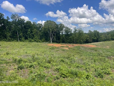 /international/us/lot-14-laura-boling-loop-rd-strawberry-plains-tn-110101349240/?lang=zh-cn