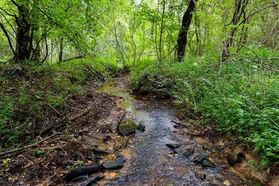 /international/us/13-59-ac-ridgeway-church-road-ellijay-ga-110101190514/