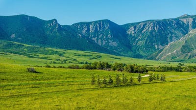 /international/us/40-6-acres-canyon-ranch-road-big-horn-wy-110100128033/