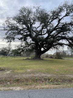 /international/us/highway-1011-lot-30-3-31-napoleonville-fl-110120743751/