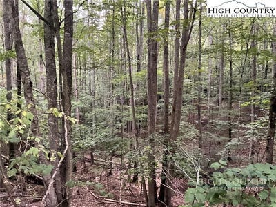 /international/us/145-raccoon-road-beech-mountain-nc-110107952947/