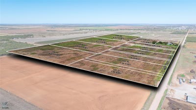 /international/us/tbd-lot-30-county-road-497-anson-tx-110095893848/