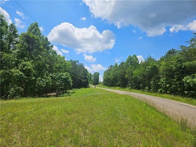 /international/us/1-young-loop-fairmount-ga-110092175757/