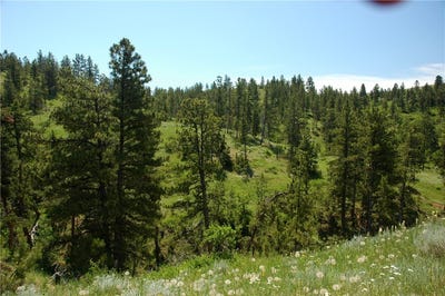 /international/us/nhn-lone-rock-canyon-hysham-mt-110104947242/