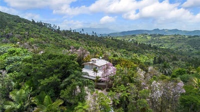 /international/us/pr-184-guavate-cayey-pr-110109012747/