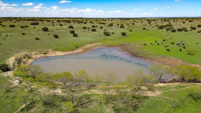 /international/us/4121-county-road-2719-out-of-area-tx-110092857930/