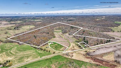 /international/us/county-road-p-blair-wi-110107750211/