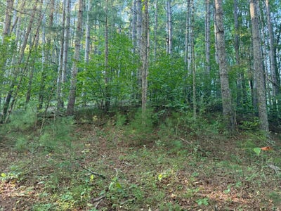 /international/us/4132-cornstalk-rd-crawley-wv-110110270277/