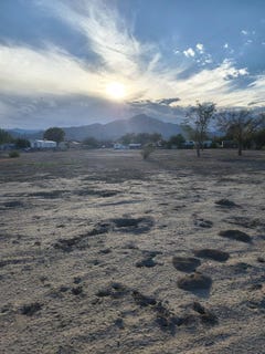 /international/us/916-6th-st-socorro-nm-110102152959/