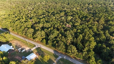 /international/us/10340-county-road-54-skipperville-al-110109115170/