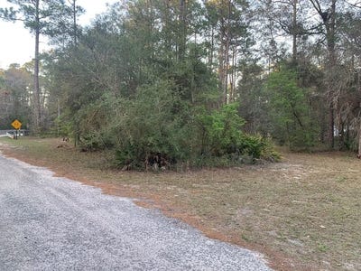 /international/us/buckhorn-creek-rd-lot-11-sopchoppy-fl-110106373117/