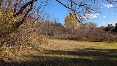 /international/us/l16-oak-road-markesan-wi-110103364344/