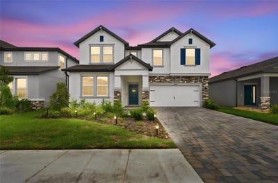 /international/us/31840-sapna-chime-drive-wesley-chapel-fl-110110294366/