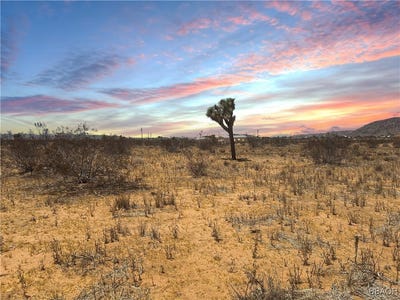 /international/us/kuna-avenue-yucca-valley-ca-110093978806/