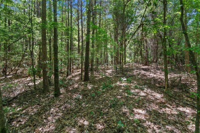 /international/us/county-rd-3363-de-berry-tx-110108814441/