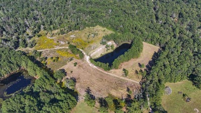 /international/us/1615-bob-williams-road-thicket-tx-110099232873/