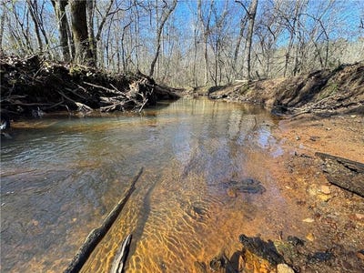 /international/us/county-road-48-lafayette-al-110104409222/