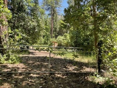 /international/us/1460-lake-rd-junction-city-ca-110108165799/