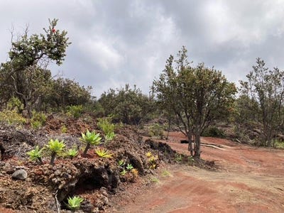 /international/us/92-8484-pineapple-pkwy-ocean-view-hi-110107583251/