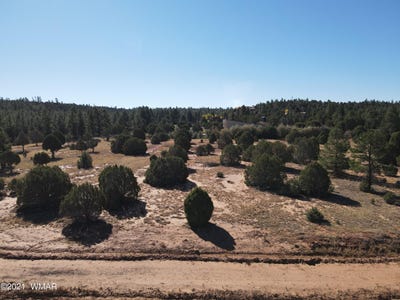 /international/us/tbd-iron-spur-saddle-bow-trail-show-low-az-110092456872/