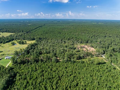 /international/us/262-maze-road-livingston-tx-110102854356/