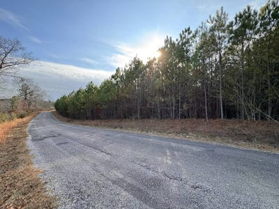 /international/us/01-county-road-139-haleyville-al-110105903581/