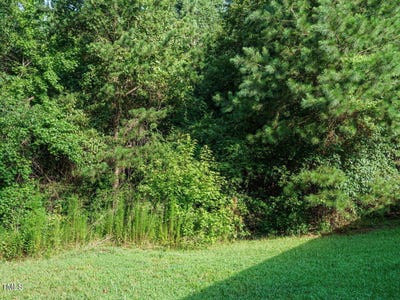 /international/us/tbd-st-luke-church-road-goldston-nc-110100984830/
