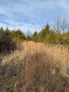 /international/us/7890-warsaw-road-dry-ridge-ky-110104560369/