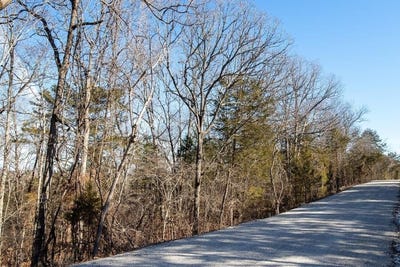 /international/us/2-catfish-lane-forsyth-mo-110097516960/