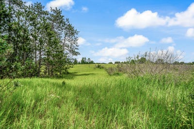 /international/us/13751-mackinaw-trail-leroy-mi-110109084980/